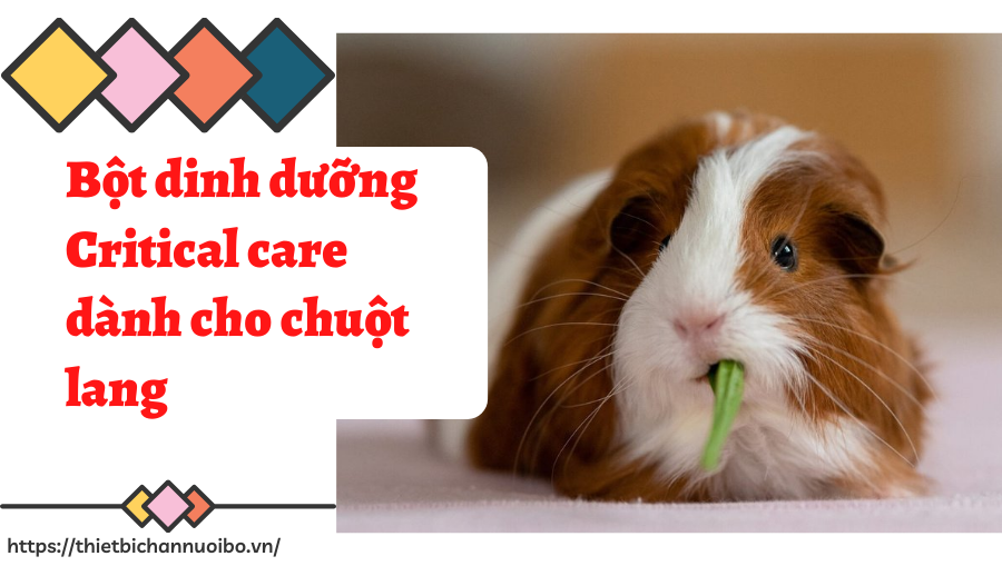 Thiết Kế Không Tên (58)