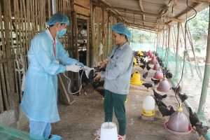 Phong_chong_dich_benh