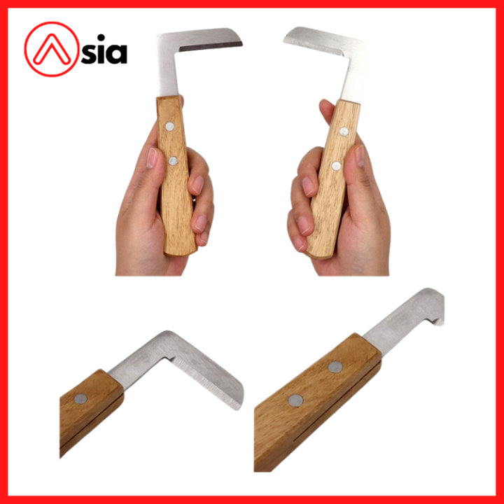 Thiết Kế Chưa Có Tên (17)