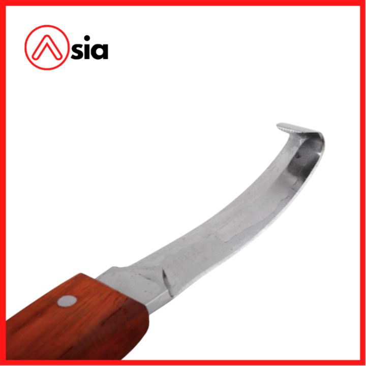 Thiết Kế Chưa Có Tên (4)