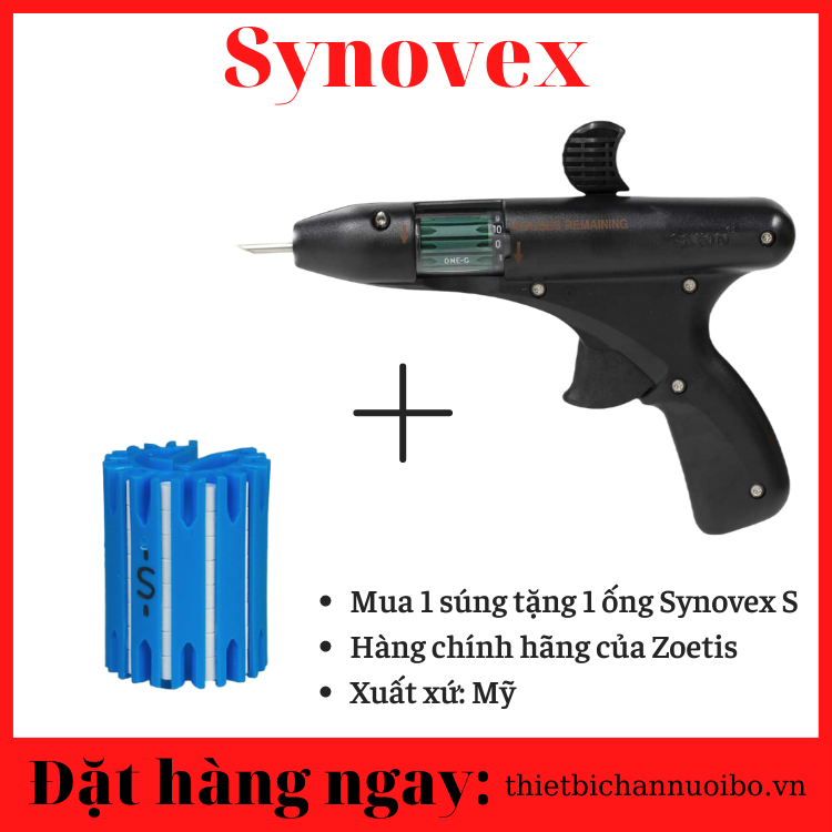 300755555_944918496902883_1893009922442888140_n