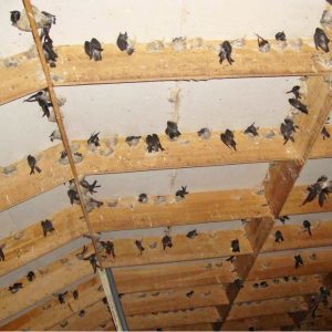 695x695-1612595329-single_news7-banner2