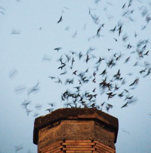 He Thong Am Thanh Nha Yen