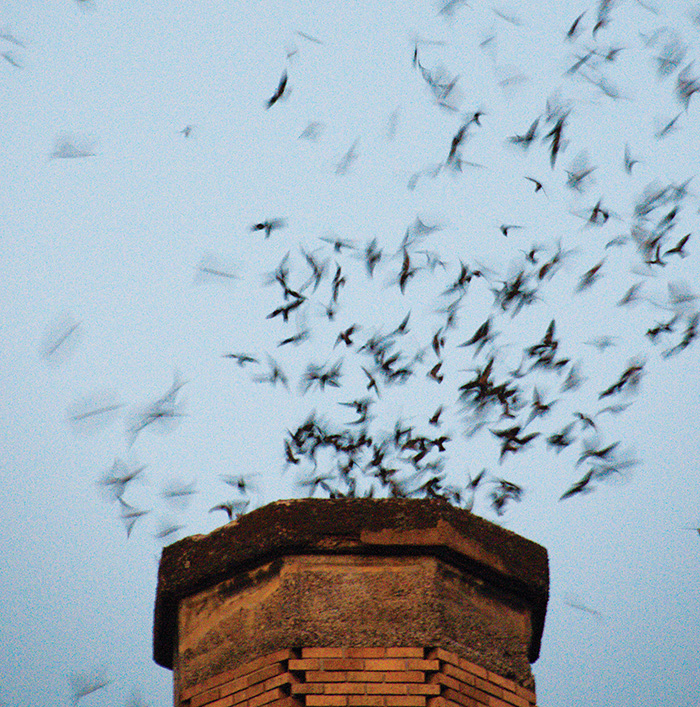 He Thong Am Thanh Nha Yen