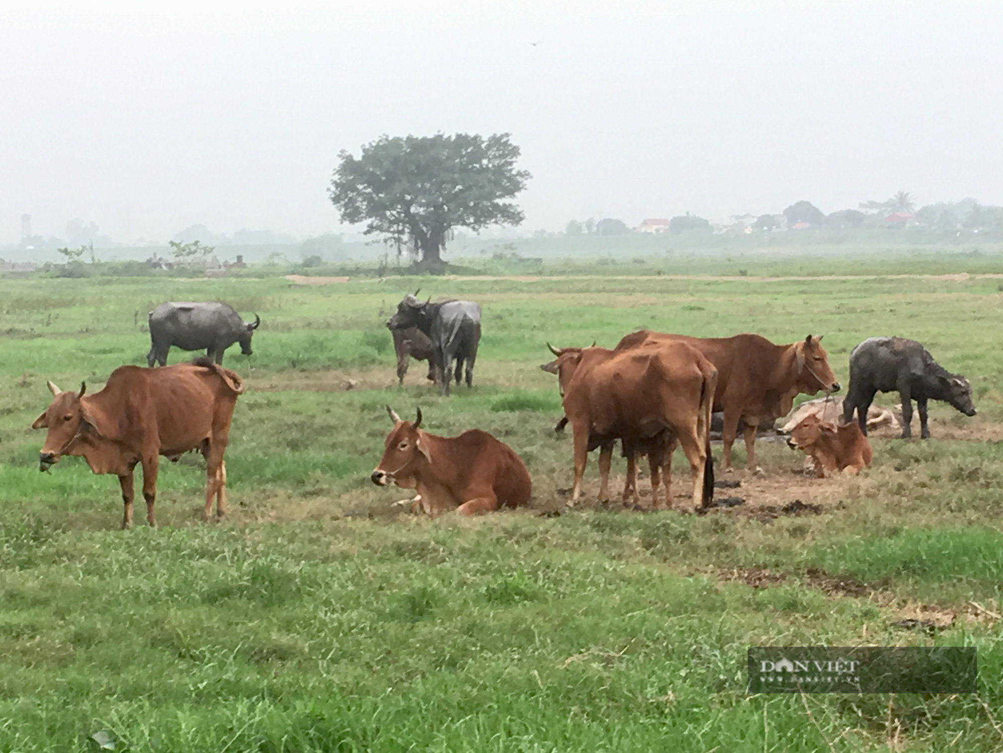 Logo-z24146599836995a4a8fc477e7b624e0c846767a1b06dc-16175240656351903556629