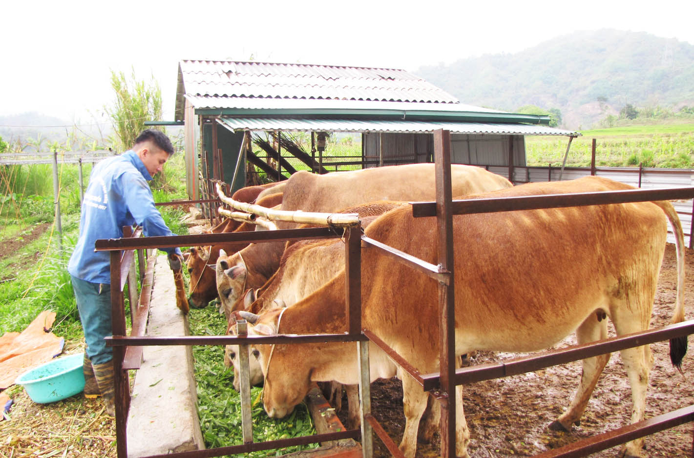 2-1[4]_1610612559040