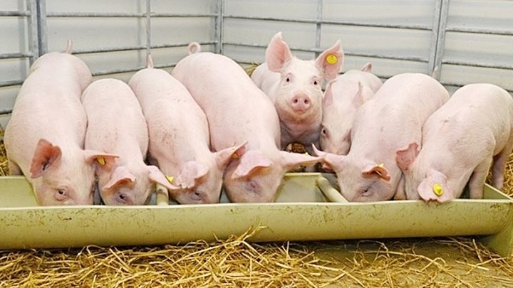 Aa329313b3e0df0310026ee511984fd7