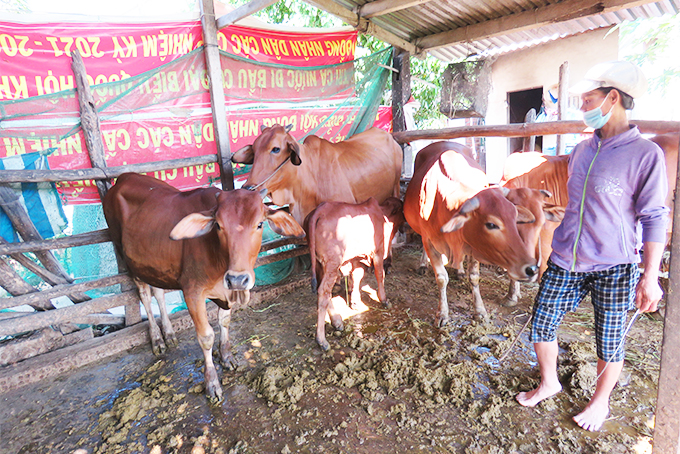 Images5468297_theanh02_07