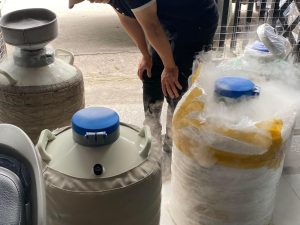 Z5409848778713_5cb04b864db52fd9c2d5994e901f2213