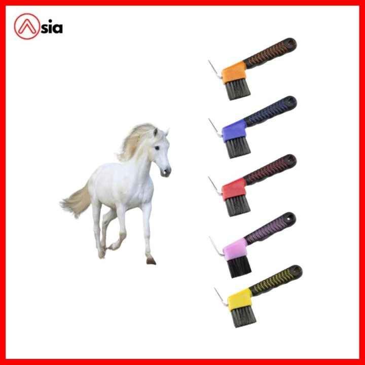 Vệ sinh móng ngựa