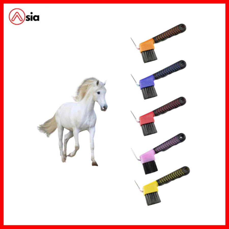 Vệ sinh móng ngựa