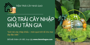Banner Hội Chợ Thương Mại Nông Nghiệp Xanh Rêu Phong Cách Ảnh Làm Trọng Tâm