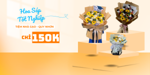 Hoa Sáp Tốt Nghiệp