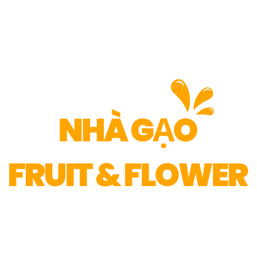 Tiệm nhà Gạo Quy Nhơn