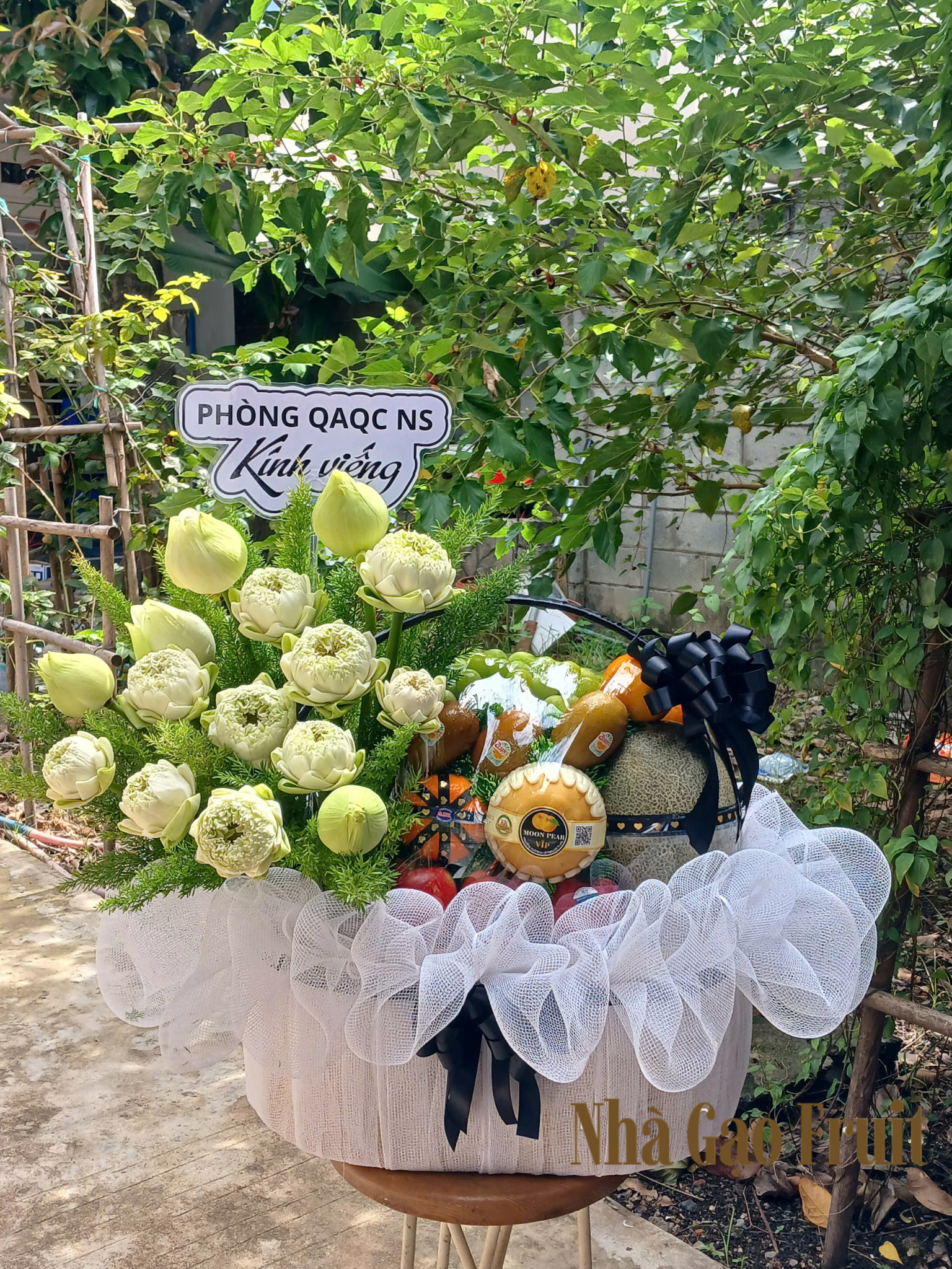 Thiết Kế Chưa Có Tên (5)