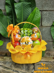 ĐỊa ChỈ BÁn GiỎ TrÁi CÂy CÚng – NhÀ GẠo Fruit Quy NhƠn