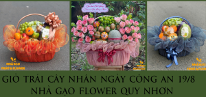 GiỎ TrÁi CÂy NhÂn NgÀy CÔng An 19-8 – NhÀ GẠo Flower Quy NhƠn