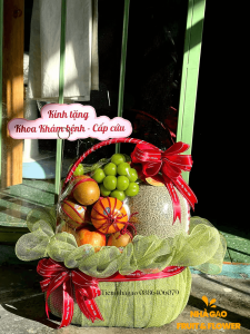 Giỏ Trái Cây Thăm Bệnh Quy Nhơn (1)