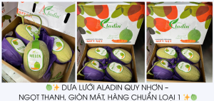 🍈✨ DƯa LƯỚi Aladin Quy NhƠn – NgỌt Thanh, GiÒn MÁt, HÀng ChuẨn LoẠi 1 ✨🍈