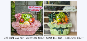 GiỎ TrÁi CÂy Mini 20-10 Quy NhƠn Giao TẬn NƠi – NhÀ GẠo Fruit