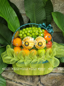 NhÀ GẠo Fruit – Shop TrÁi CÂy NhẬp KhẨu Quy NhƠn Uy TÍn, ChẤt LƯỢng