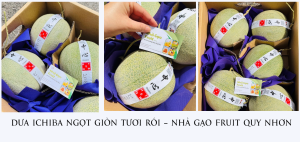 DƯa Ichiba NgỌt GiÒn TƯƠi RÓi – NhÀ GẠo Fruit Quy NhƠn
