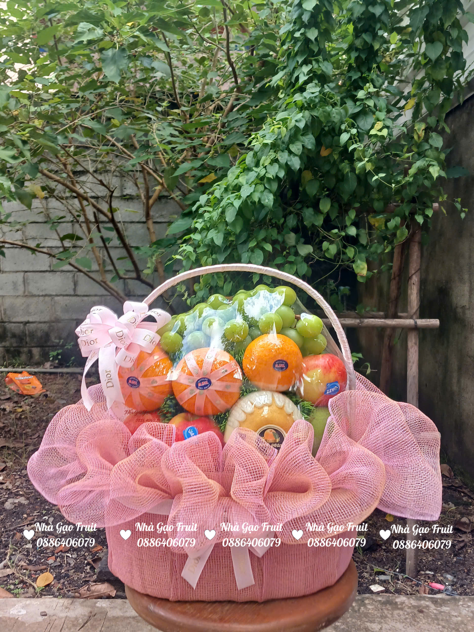 GiỎ TrÁi CÂy CẢm Ơn BÁc SĨ Quy NhƠn – MÓn QuÀ TrÂn TrỌng VÀ Tinh TẾ