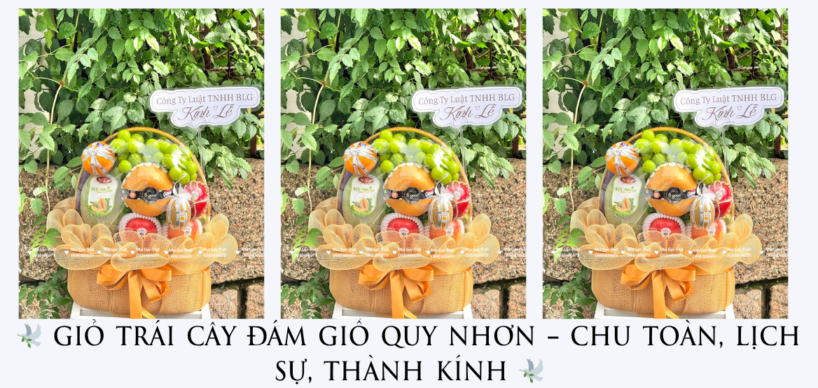 GiỎ TrÁi CÂy ĐÁm GiỖ Quy NhƠn
