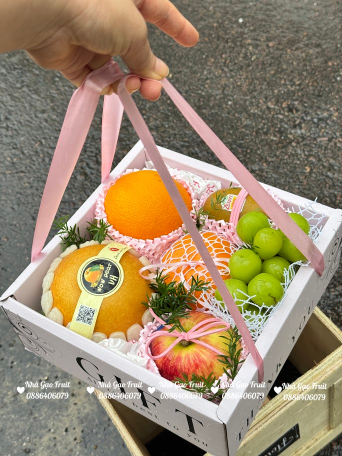 HỘp TrÁi CÂy 20-11 Quy NhƠn – MÓn QuÀ Tri Ân Sang TrỌng & Ý NghĨa