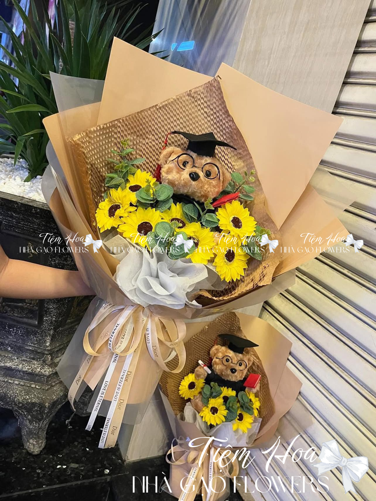 🌼 Hoa TỐt NghiỆp Quy NhƠn – NhÀ GẠo Flower Hoa ĐẸp – Giao Nhanh – GiÁ TỐt