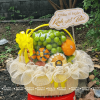 Giỏ Trái Cây Khai Trương Thành Công – Nhà Gạo Fruit Quy Nhơn