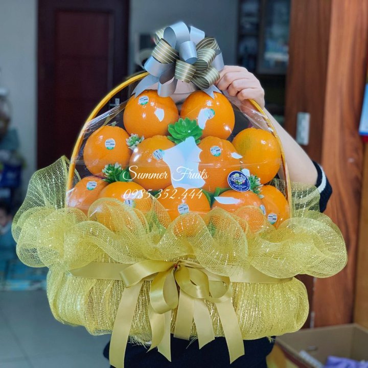 Giỏ Trái Cây Thăm Bệnh Bệnh Viện Y Học Cổ Truyền Bình Định – Quà Tặng Sức Khỏe Ý Nghĩa