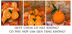 Nhà Gạo Fruit (34).pngaaa