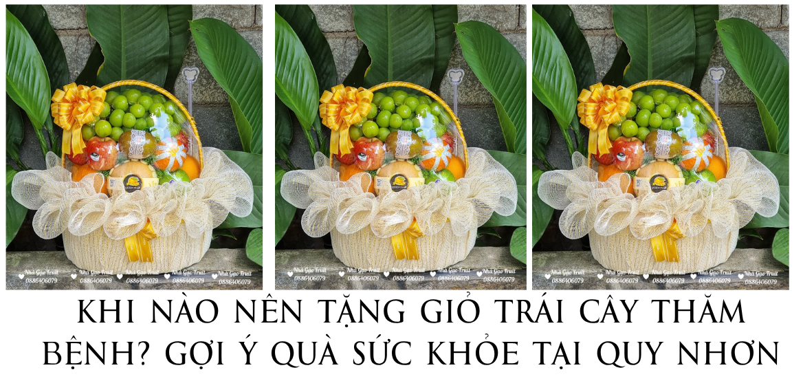 Giỏ Trái Cây đi Thăm Bệnh