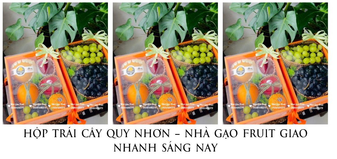 Hộp Trái Cây Quy Nhơn – Nhà Gạo Fruit Giao Nhanh Sáng Nay