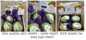 Dưa Aladin Quy Nhơn – Giòn Ngọt, Tươi Ngon Tại Nhà Gạo Fruit