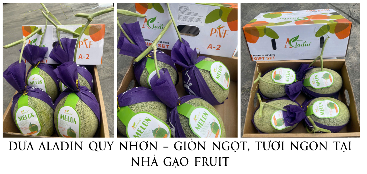 Dưa Aladin Quy Nhơn – Giòn Ngọt, Tươi Ngon Tại Nhà Gạo Fruit