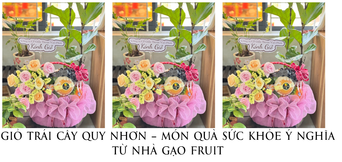 Giỏ Trái Cây Quy Nhơn – Món Quà Sức Khỏe Ý Nghĩa Từ Nhà Gạo Fruit Quy Nhơn