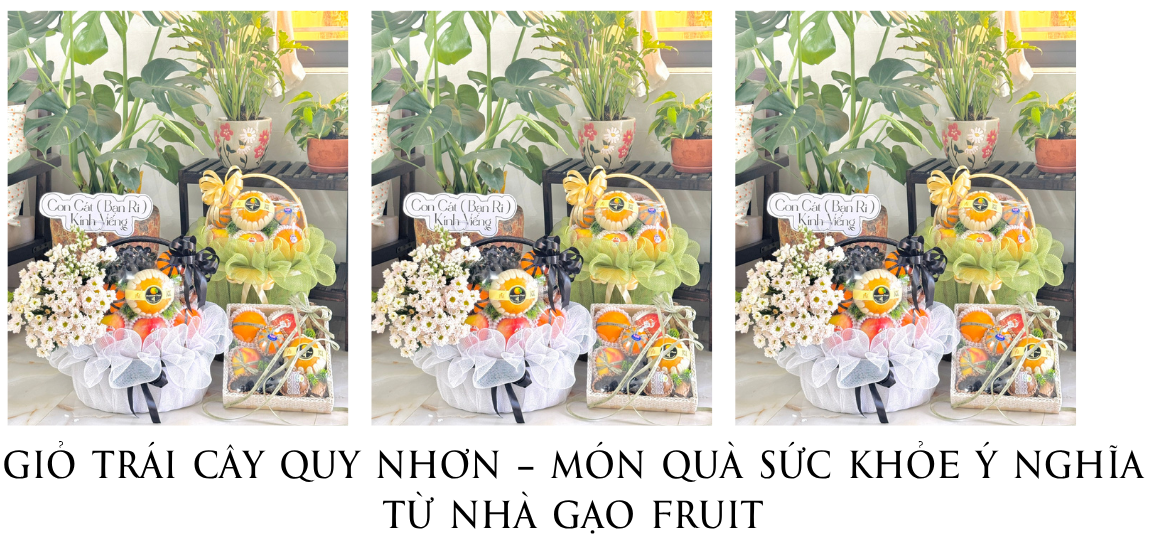 Giỏ Trái Cây Quy Nhơn – Món Quà Sức Khỏe Ý Nghĩa Từ Nhà Gạo Fruit