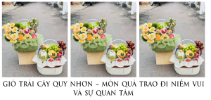 Giỏ Trái Cây Quy Nhơn – Món Quà Trao Đi Niềm Vui Và Sự Quan Tâm
