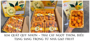 Kim Quất Quy Nhơn – Trái Cây Ngọt Thơm, Biếu Tặng Sang Trọng Từ Nhà Gạo Fruit