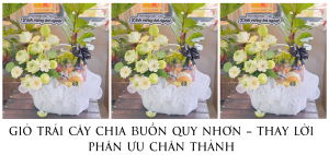 GiỎ TrÁi CÂy Chia BuỒn Quy NhƠn – Thay LỜi PhÂn Ưu ChÂn ThÀnh