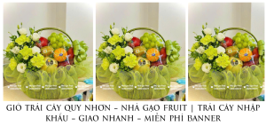GiỎ TrÁi CÂy Quy NhƠn – NhÀ GẠo Fruit TrÁi CÂy NhẬp KhẨu – Giao Nhanh – MiỄn PhÍ Banner