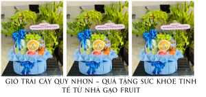 GiỎ TrÁi CÂy Quy NhƠn – QuÀ TẶng SỨc KhỎe Tinh TẾ TỪ NhÀ GẠo Fruit