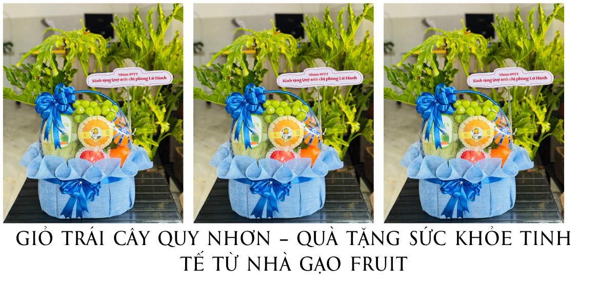 GiỎ TrÁi CÂy Quy NhƠn – QuÀ TẶng SỨc KhỎe Tinh TẾ TỪ NhÀ GẠo Fruit