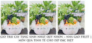 GiỎ TrÁi CÂy TẶng Sinh NhẬt Quy NhƠn – NhÀ GẠo Fruit MÓn QuÀ Tinh TẾ Cho DỊp ĐẶc BiỆt