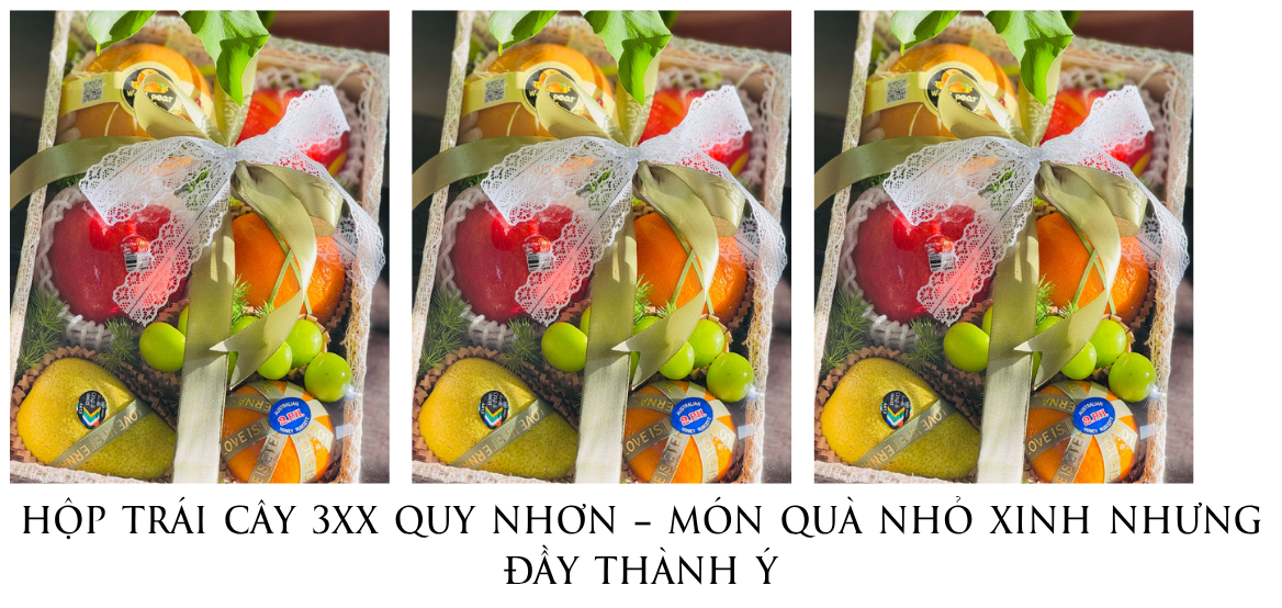 HỘp TrÁi CÂy 3xx Quy NhƠn – MÓn QuÀ NhỎ Xinh NhƯng ĐẦy ThÀnh Ý