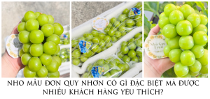 Nho Mẫu Đơn Quy Nhơn Có Gì Đặc Biệt Mà Được Nhiều Khách Hàng Thích