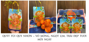 QuÝt TÚi Quy NhƠn – VỎ MỎng, NgỌt LỊm, TrÁi ĐẸp TƯƠi MỖi NgÀy