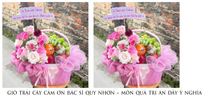 GiỎ TrÁi CÂy CẢm Ơn BÁc SĨ Quy NhƠn – MÓn QuÀ Tri Ân ĐẦy Ý NghĨa